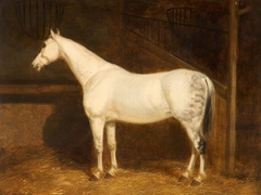 Grey Hunter in a Stable by John Ferneley