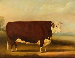 Hereford Bull ‘Walford' by William Henry Davis