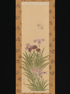 Irises and Moth by Suzuki Kiitsu