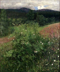 Midsummer by Torleiv Stadskleiv