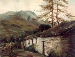 Nant Cwmanog, Crafnant Valley by Peter Brohanau