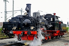 Old Steam Locomotive At A Junction Near Bricknellhurst by Gert J Rheeders