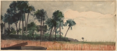 Palm Trees, Red by Winslow Homer