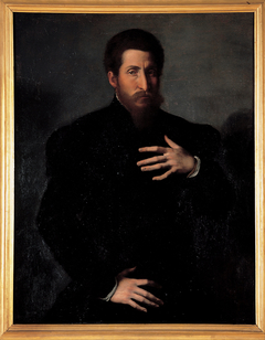 Portrait of a virile man by Girolamo da Carpi