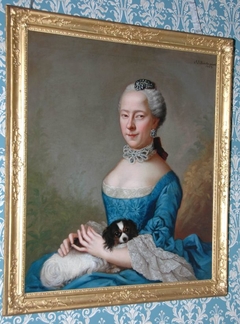 Portret van Sara Elisabeth Blaaukamer by Johann Julius Heinsius