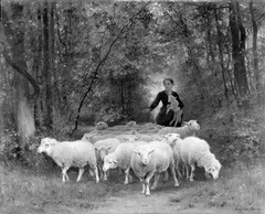 Schapen in het bos by Auguste Bonheur