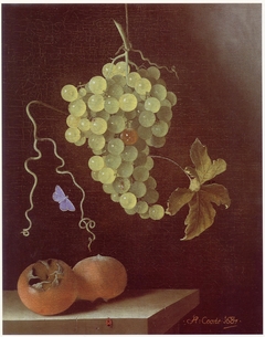 Still life with hanging bunch of grapes, two medlars and a butterfly by Adriaen Coorte