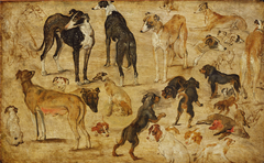 Studies of Dogs by Jan Brueghel the Elder