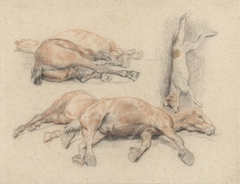 Studies van een paardenkadaver en een dode opgehangen hond by Denis Auguste Marie Raffet