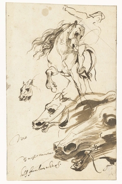 Studies van een ruiter en het hoofd van een paard by Anthony van Dyck