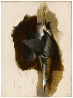 Study of a Dead Heron by Edwin Henry Landseer