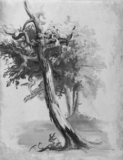 Study of a Tree by Thomas Cole