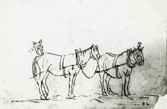 Study Of Horses - William Williams - ABDAG017703 by William Williams