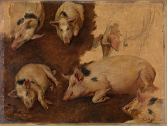 Study of six Pigs by Anders Askevold