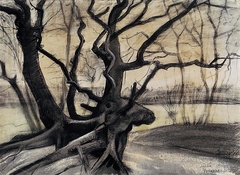 Tree roots in a sandy ground ('Les racines') by Vincent van Gogh