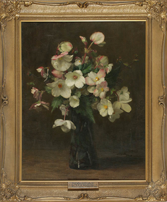 Begonias by Alfred Frederick William Hayward