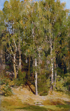 Birch Grove by Ivan Shishkin