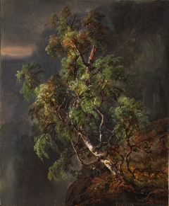 Birch Tree in a Storm by Johan Christian Dahl