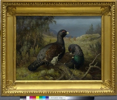 Capercaillie Cocks by Ferdinand von Wright