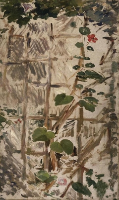 Convolvulus and Nasturtiums by Edouard Manet