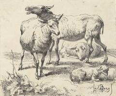 Drie schapen en een lam by Simon van den Berg