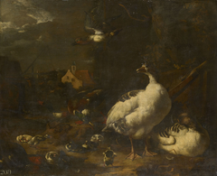 Ducks and Geese in a Farmyard by Melchior d'Hondecoeter