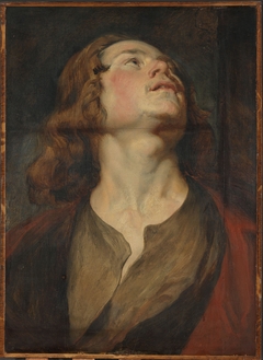 Head of Saint John by Peter Paul Rubens