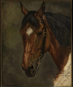 Horse's head by Juliusz Kossak