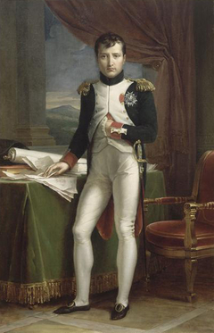 Napoléon Ier en uniforme de colonel des grenadiers à pied de la Garde by François Gérard