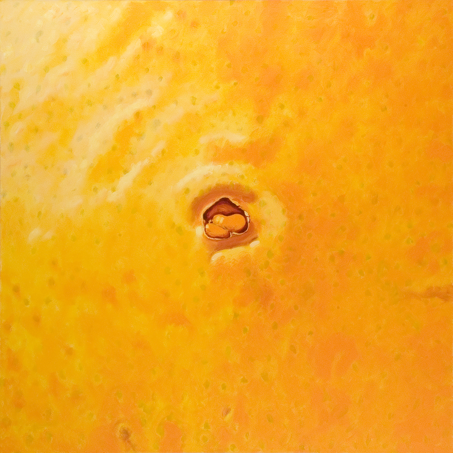 Exhibit image