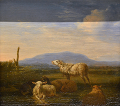 Paysage : moutons et chèvres by Adriaen van de Velde