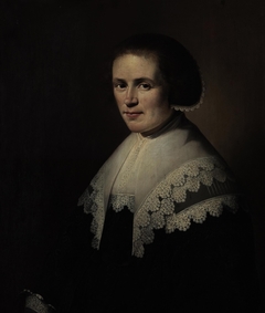 Portrait of a Woman by Hendrick Cornelisz van Vliet