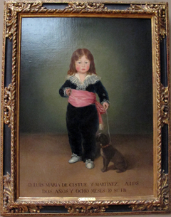 Portrait of Luis María de Cistué Martínez by Francisco de Goya