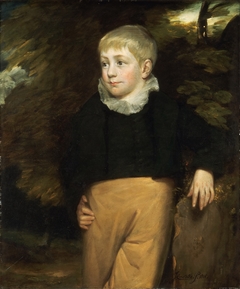 Portrait of Master Crosby by John Constable