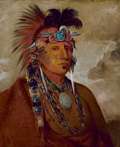 Shó-me-kós-see, The Wolf, a Chief by George Catlin