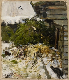 Spruces in a Farmyard by Akseli Gallen-Kallela