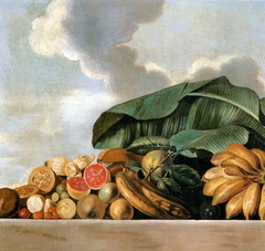 Still-life of citrus fruit and bananas by Albert Eckhout