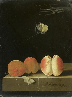 Still life with peach and two apricots by Adriaen Coorte