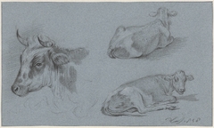 Studies van koeien by Pieter Plas