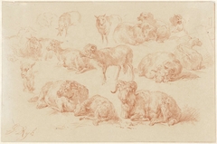 Studies van schapen by James de Rijk