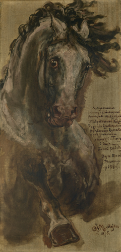 Study for the Horse of Grand Duke of Lithuania Vytautas for the Painting "The Battle of Grunwald" by Jan Matejko