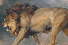 Study of a Lion by Edwin Henry Landseer