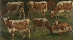 Study of Cows by Anders Askevold