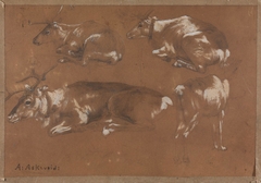 Study of four Reindeers by Anders Askevold