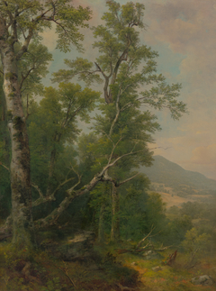 Study of Tree by Asher Brown Durand