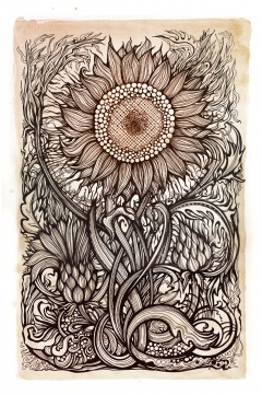 Sunflower by irina vinnik