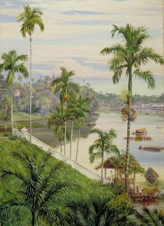 View down the River at Sarawak, Borneo by Marianne North