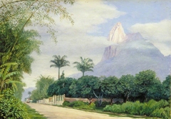 View of the Corcovado Mountain near Rio de Janeiro, Brazil by Marianne North