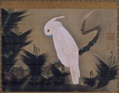 White Cockatoo on a Pine Branch by Itō Jakuchū