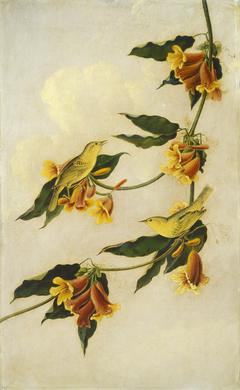 Yellow Warbler by Joseph Bartholomew Kidd